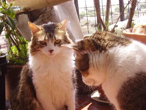 salidas