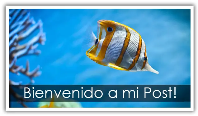 ¿Crean joyas con animales vivos? tambien llaveros,miren...