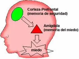 Agora
