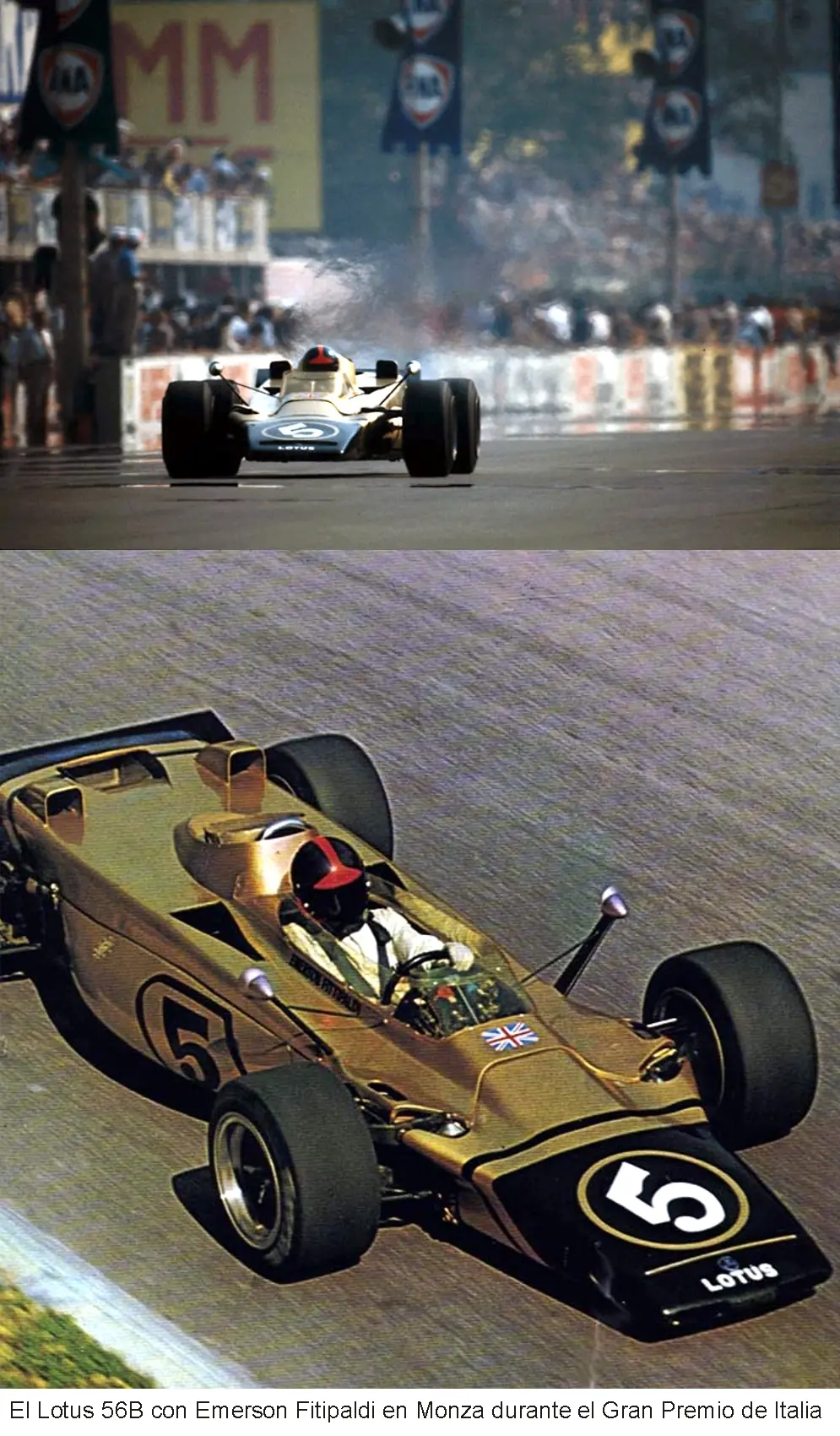 andrea moda