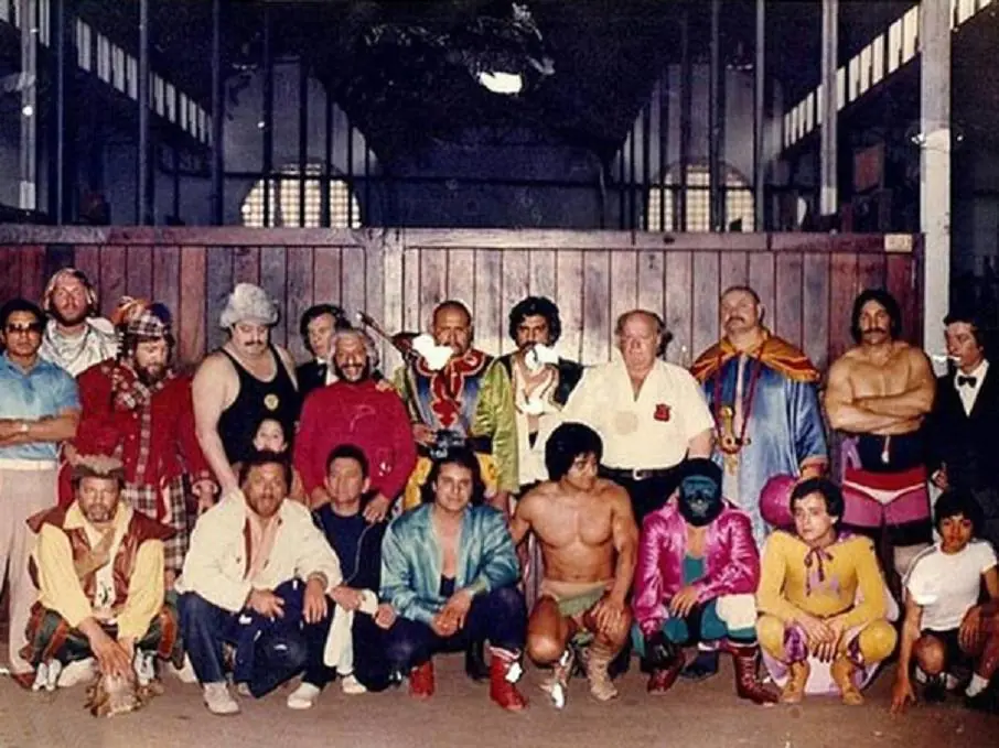 Titanes en el ring,para entendidos megapost