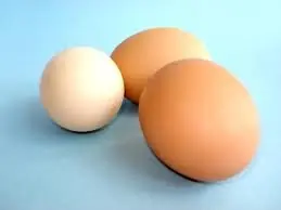 Alimentos Saludables