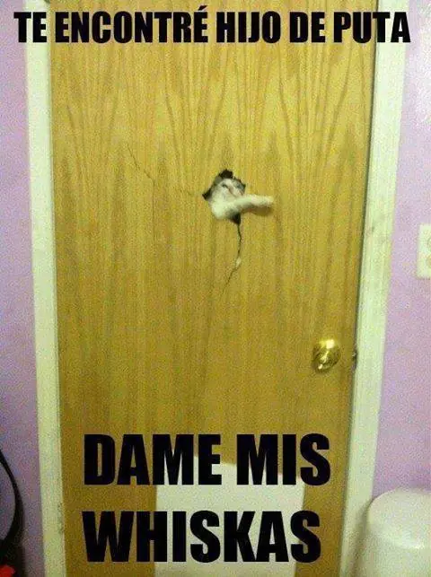 hecho