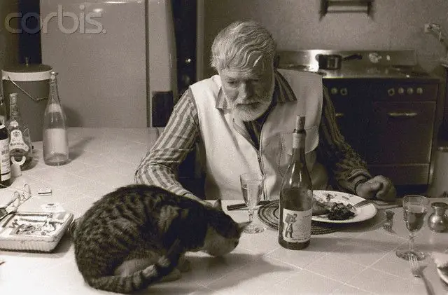 los escritores y sus Felis silvestris catus