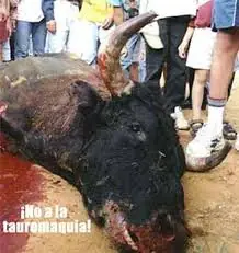 maltrato