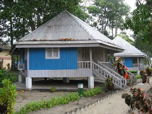 palmeras
