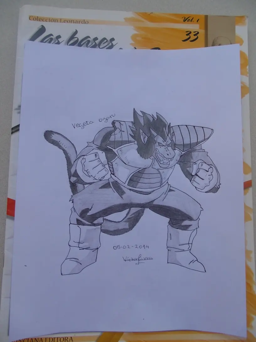 Dragon ball z : Mis dibujos