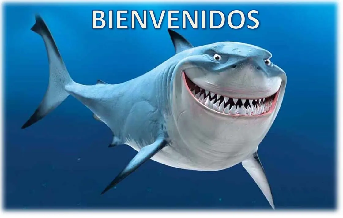 Científicos argentinos investigarán la Patagonia