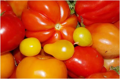 frutos secos