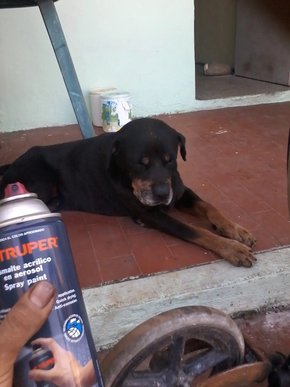Reparacion
