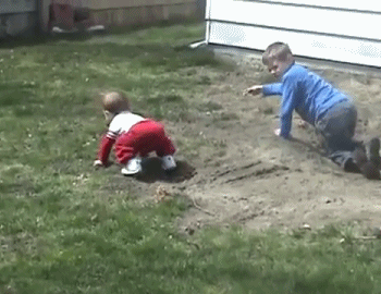 Gifs