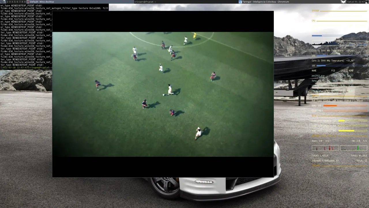 play on linux