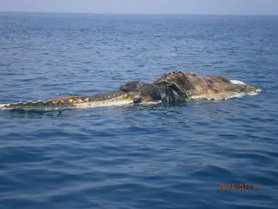 especimen