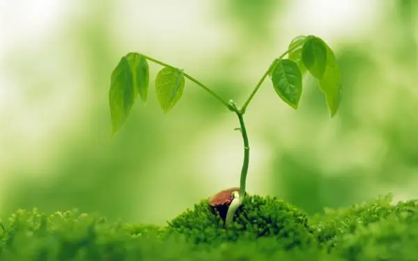 8ºEl Poder de Tu Sub-consciente