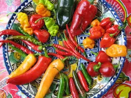 Aji