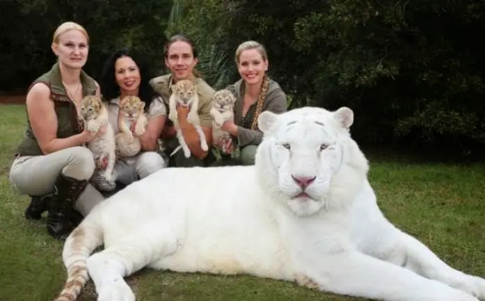 Animales