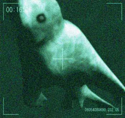 Nigen el humanoide gigante oceánico.