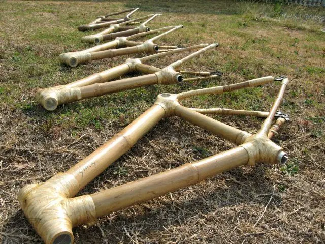 bici