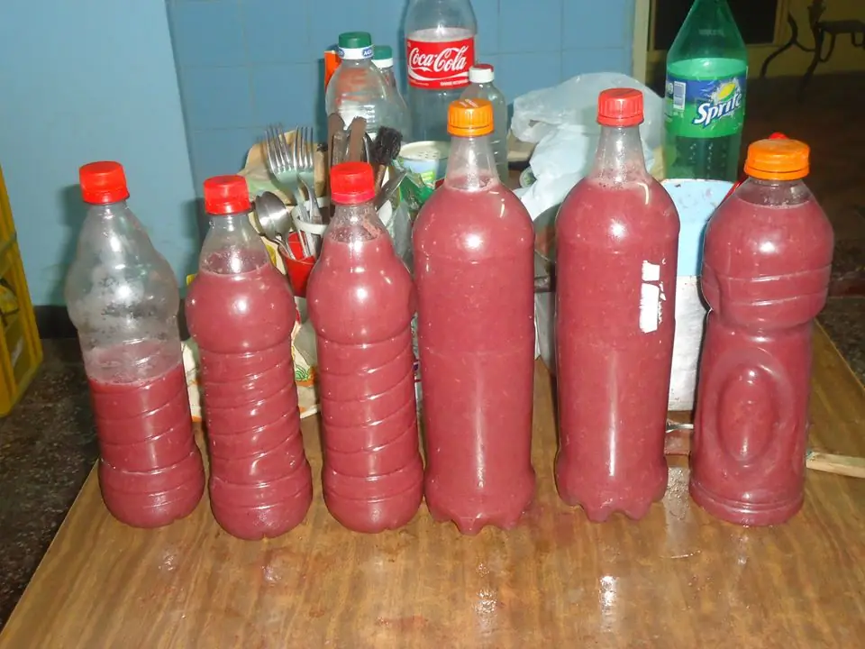 Hice jugo de uva casero y te enseño a hacerlo