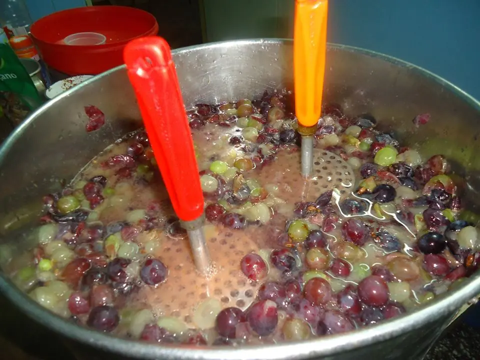Hice jugo de uva casero y te enseño a hacerlo