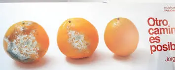 podrida