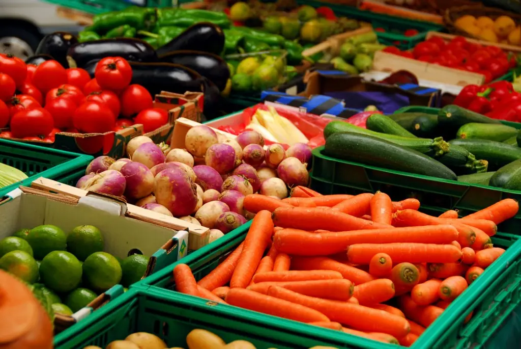 No Quieren Ver , Agricultura Orgánica, Sin Agrotóxicos