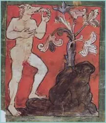 mitos