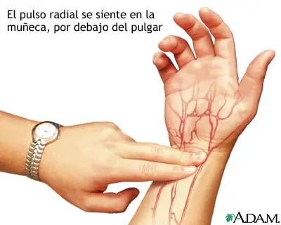 prevenir
