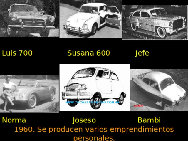 autos argentinos