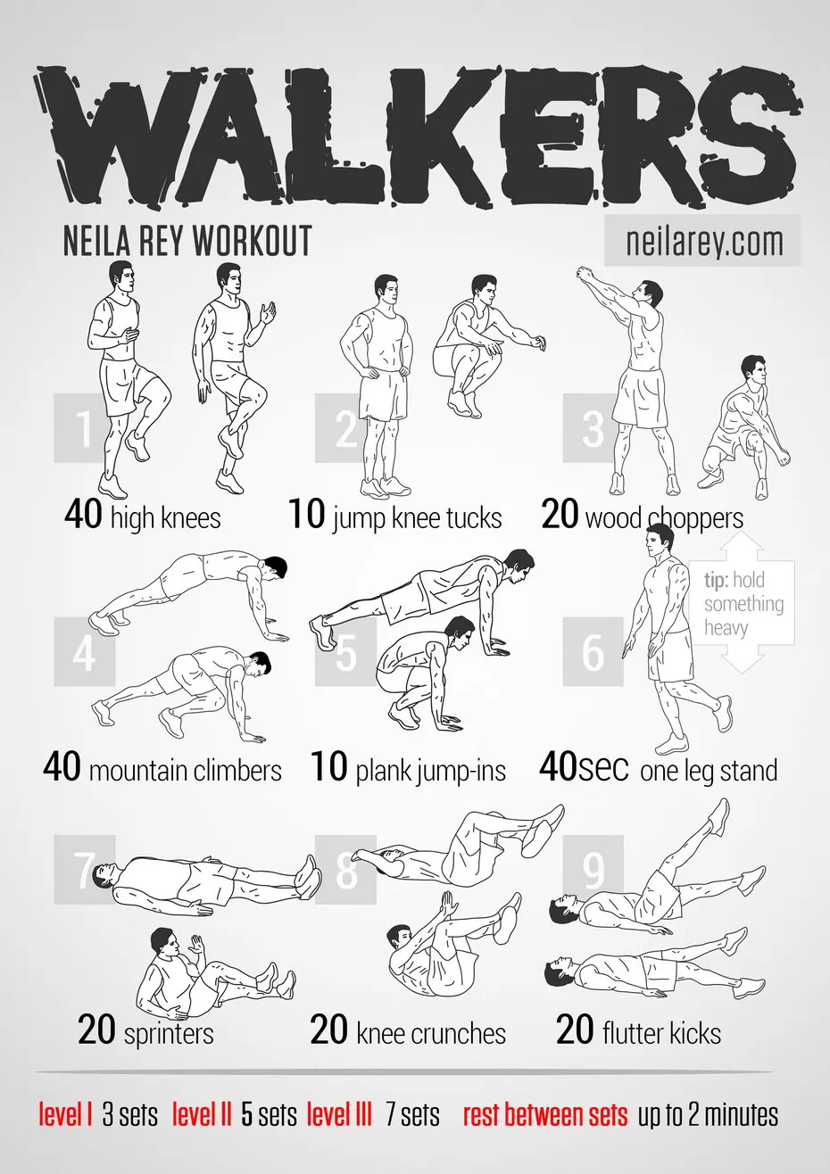 musculos