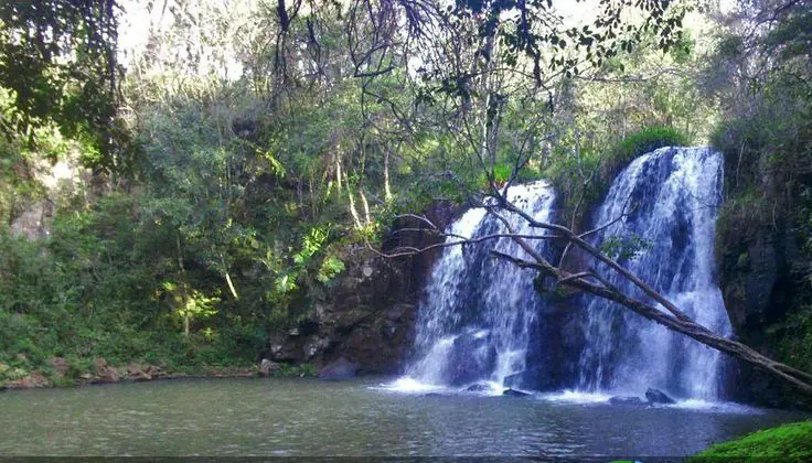 saltos