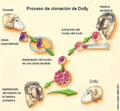 Un día como hoy pero en ...