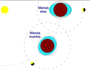 fases de la luna
