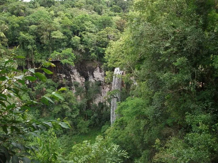 misiones
