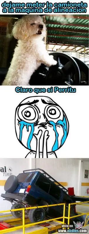 imagenes