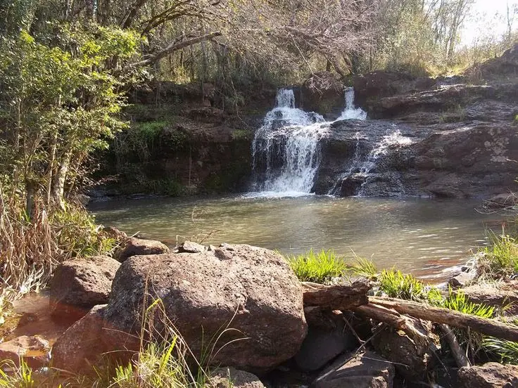 saltos