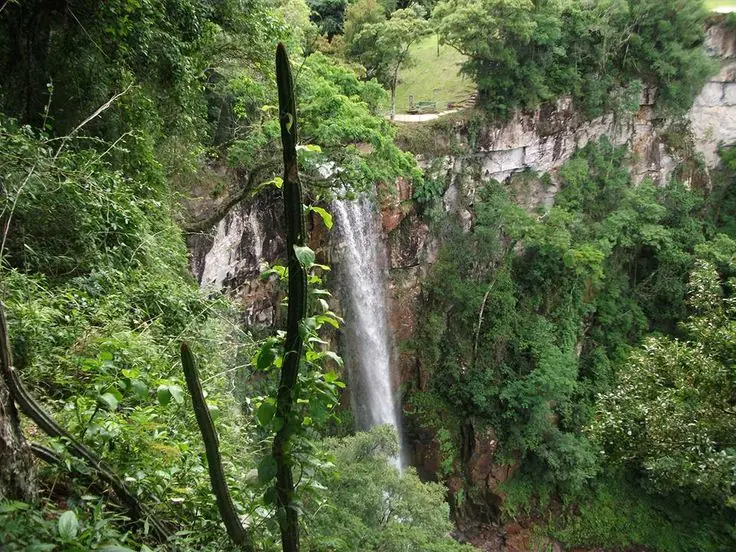 saltos