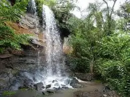 arroyos