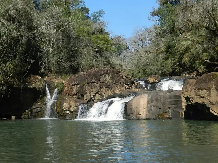 saltos