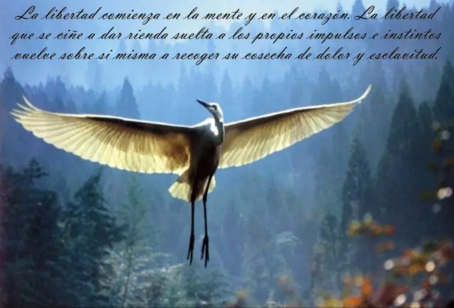 Libertad ♥