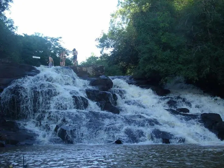 saltos