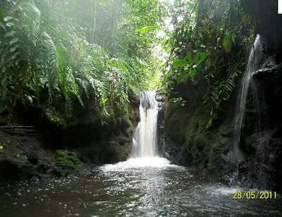 amazonia