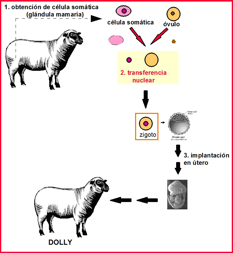 cientificos