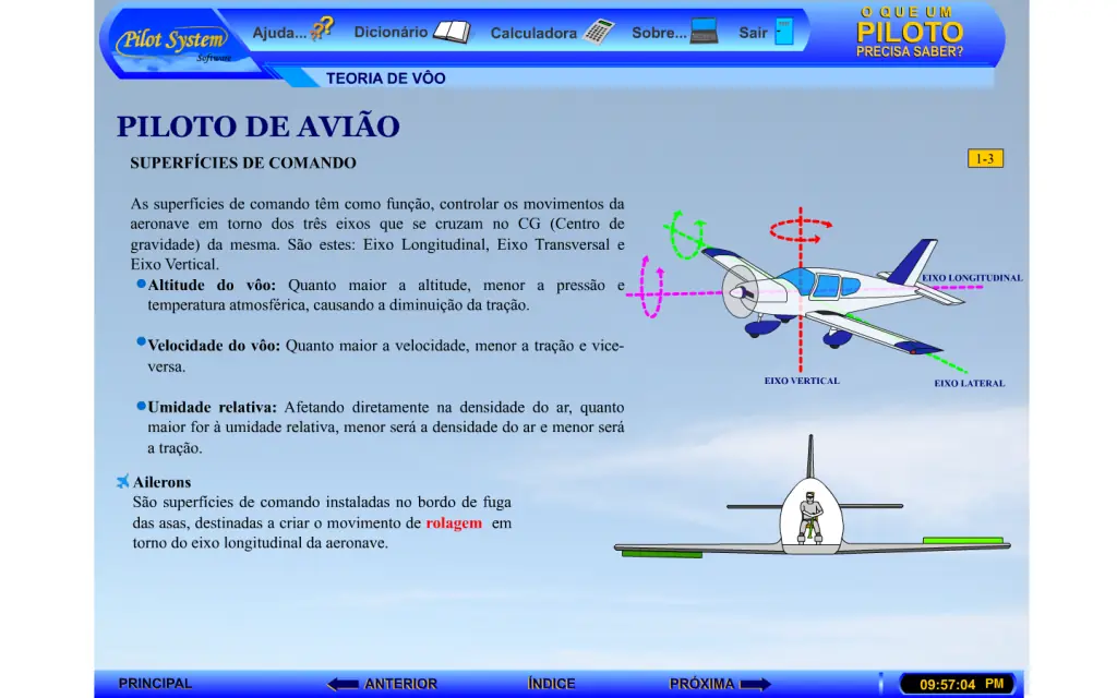 piloto