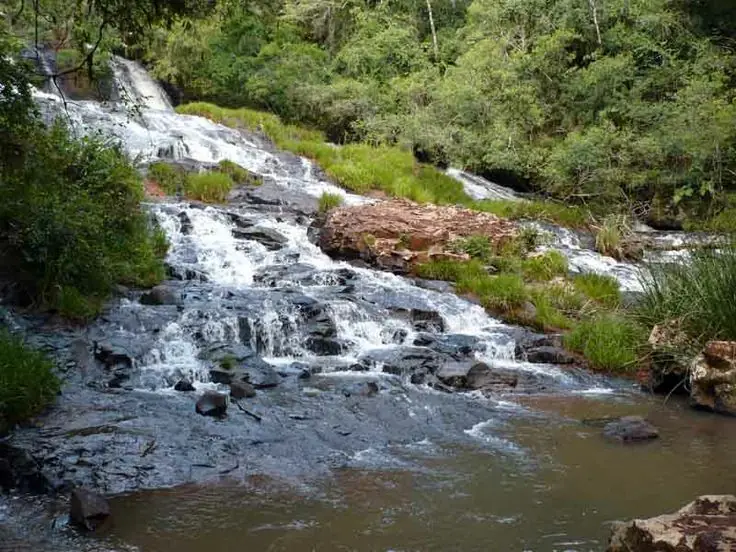 saltos