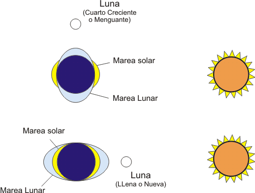 luna fases