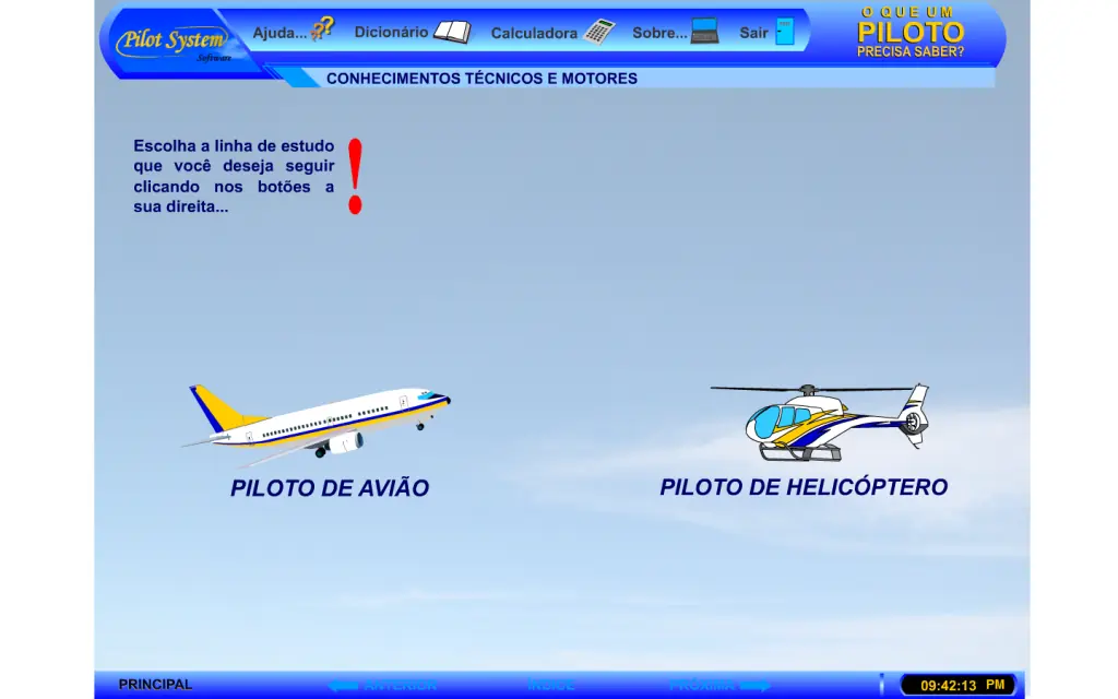piloto