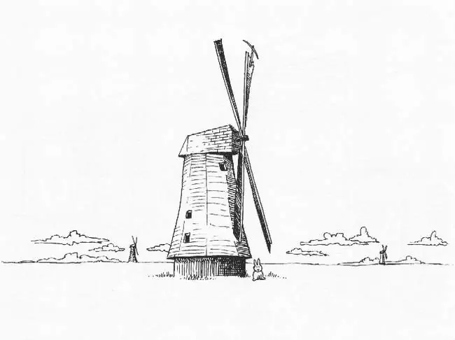 conejos