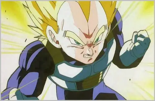 Vegeta!! Forever!