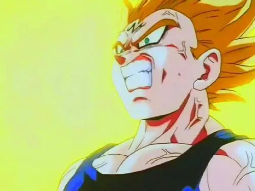 Vegeta!! Forever!